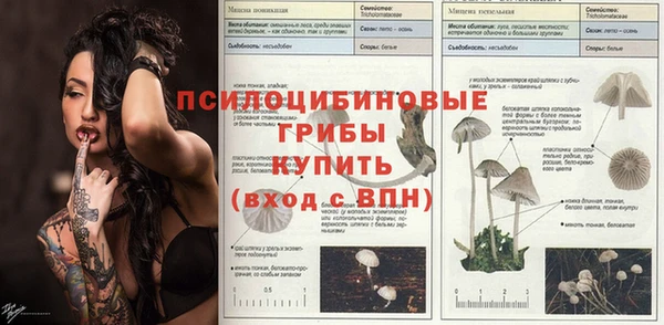 спайс Абдулино